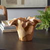 Teak Flow Natural Outdoor Bowl, Decorative Tray by Uttermost, 15.8" width x 10" height x 15.8" depth thumbnail 2