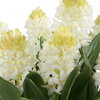 Sincerity Potted Hyacinth Plant, Artificial Plants & Flower by Uttermost, 16.5" width x 16.5" height x 17.25" depth thumbnail 4