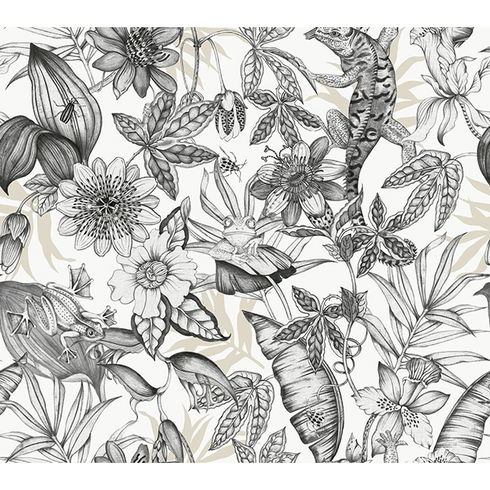 Rainforest White & Charcoal Wallpaper