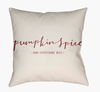Pumpkin Spice Accent Pillow, Decorative Pillow by Surya, 18" length x 18" width thumbnail