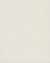 Sweet Birch White Wallpaper thumbnail 0