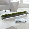 Canal Moss Centerpiece, Artificial Plants & Flower by Uttermost, 34" width x 5" height x 3" depth thumbnail 2