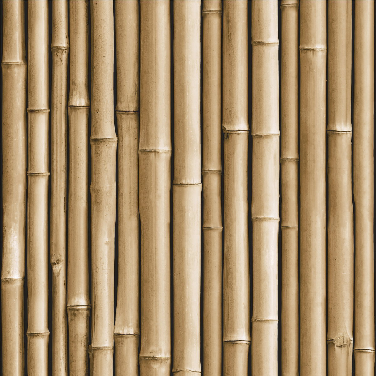 Bamboo Brown Peel & Stick Wallpaper, by York Wall, 16'6" length x 1'8.5" width x 0.02" depth