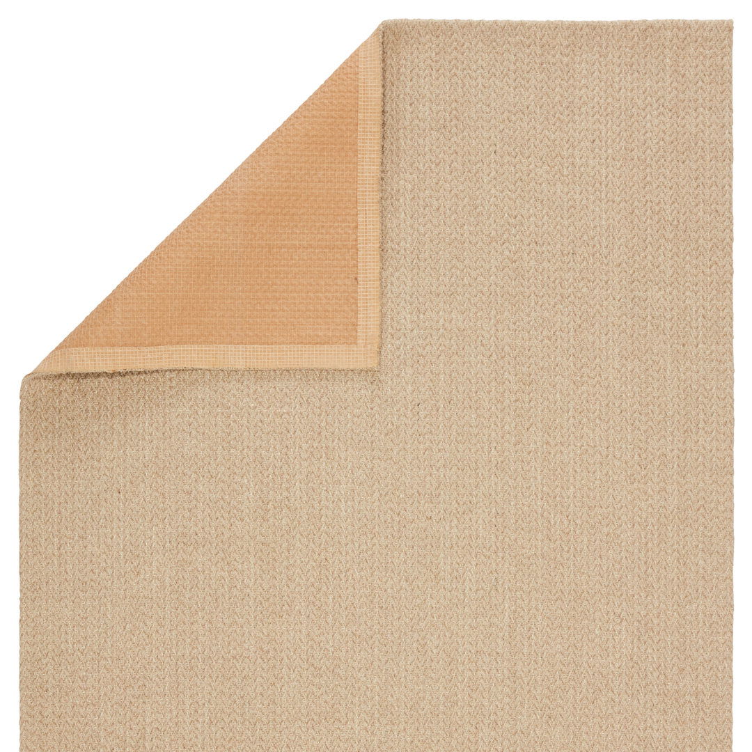 Handmade Handwoven Beige Area Rug large image 