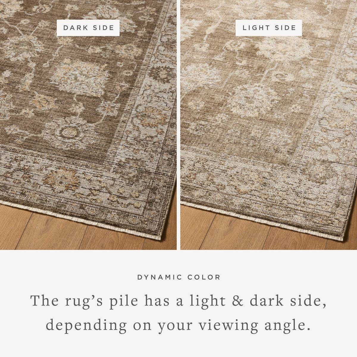 Loloi Priscilla Rug, 2'3" length x 3'9" width View 3