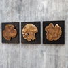 Kolini Teak Wood Wall Decor Set/3 thumbnail 3