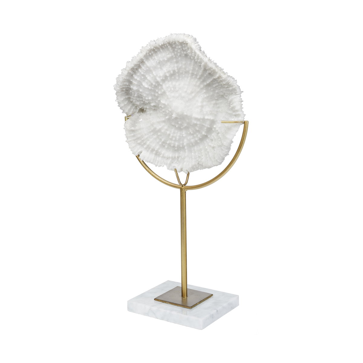 Sandy I (Small) 6L x 3W White Coastal Sand Dollar Object, Decorative Object by Mercana, 5.51" length x 3.15" width x 11.22" height View 1