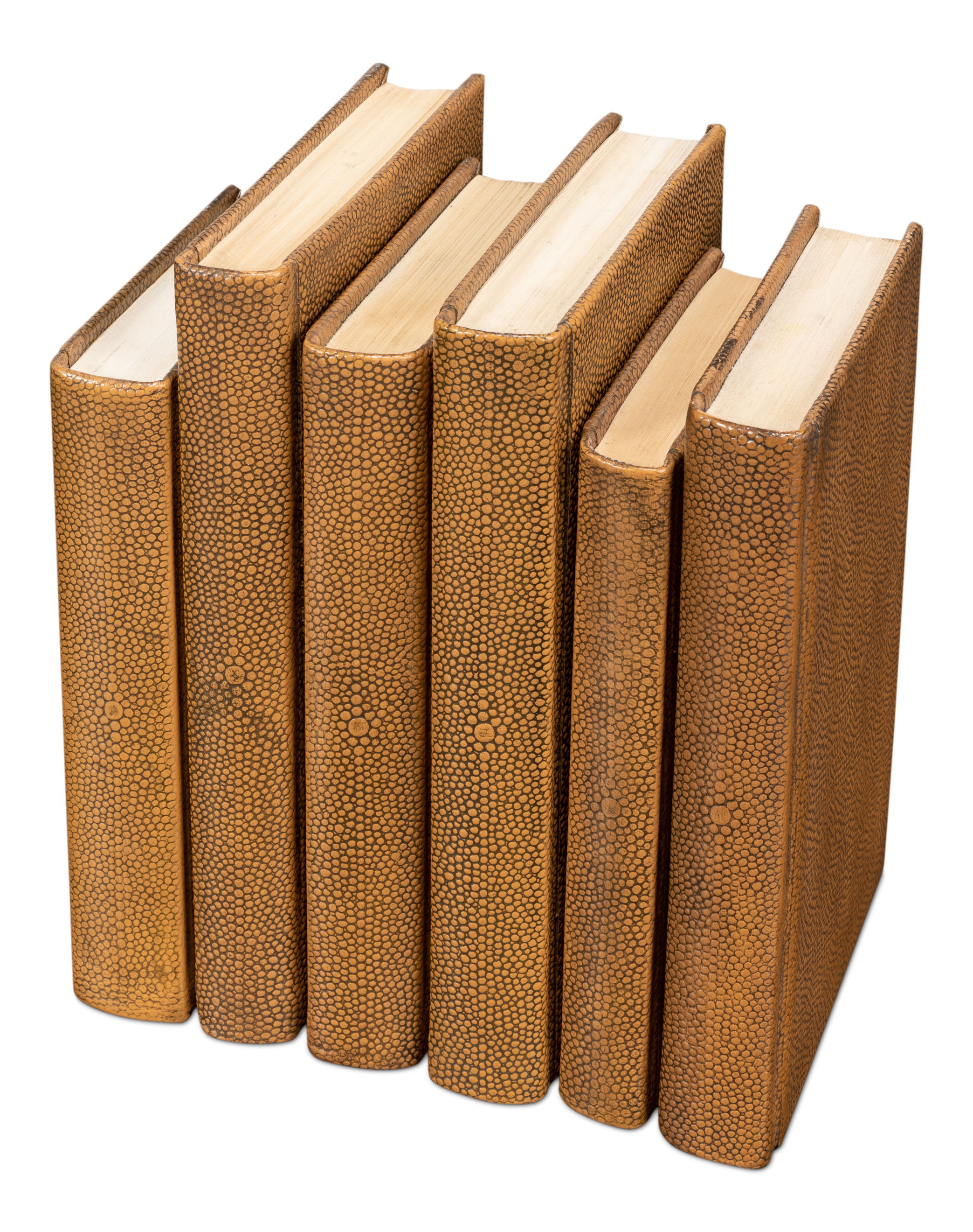 Shagreen Books  Set Of 12  Tawny Brown large image 