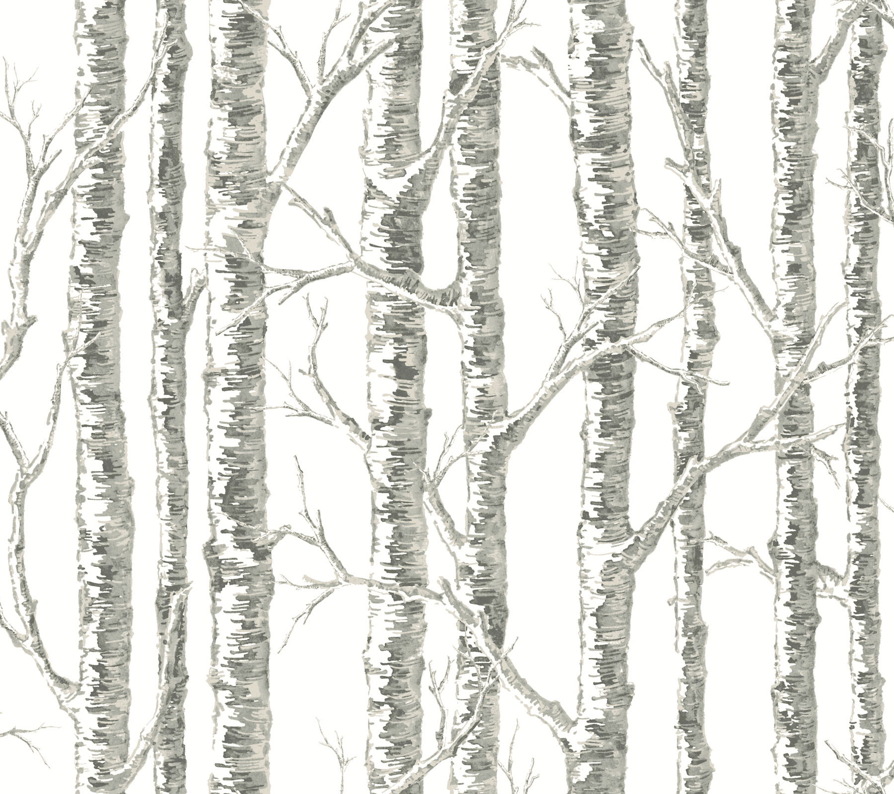 Paper Birch White & Grey Wallpaper large image 