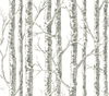 Paper Birch White & Grey Wallpaper thumbnail 1