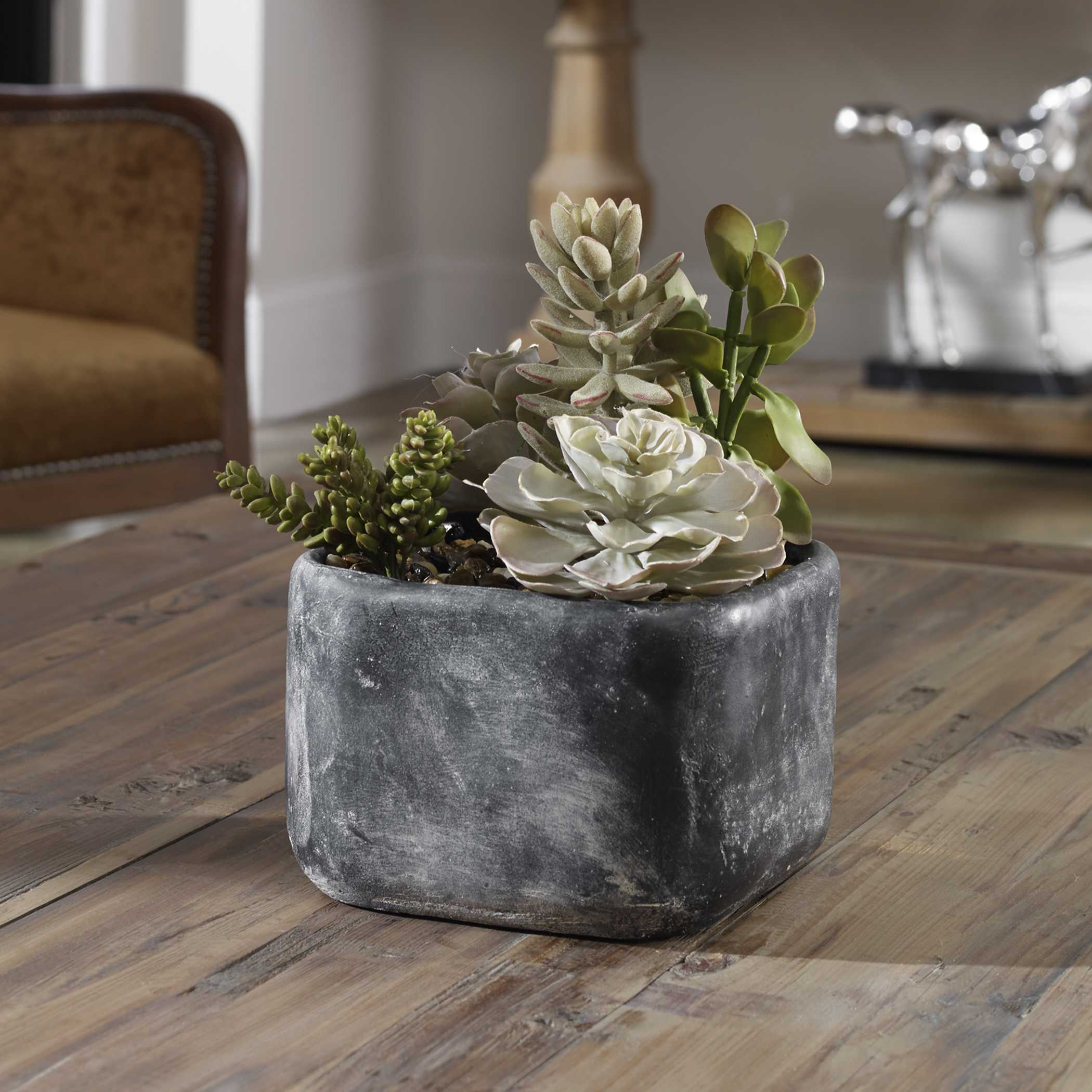 Alverio Desert Garden Succulents, Decorative by Uttermost, 9.25" width x 9.5" height x 10.75" depth View 3