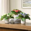 Trilogy Primrose Accents In Vases Set/3, Artificial Plants & Flower by Uttermost, 9.5" width x 11" height x 9.5" depth thumbnail 2