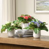 Trilogy Primrose Accents In Vases Set/3, Artificial Plants & Flower by Uttermost, 9.5" width x 11" height x 9.5" depth thumbnail 2