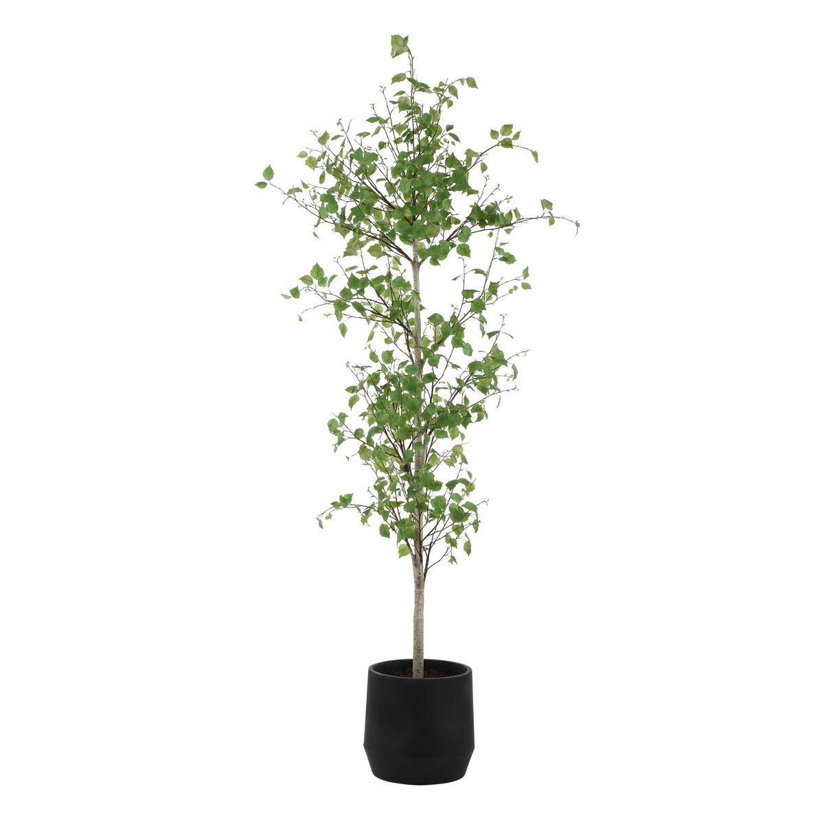 Boreal Potted Birch Tree, by Uttermost, 2'4.5" width x 7'2.25" height x 2'4.5" depth View 5