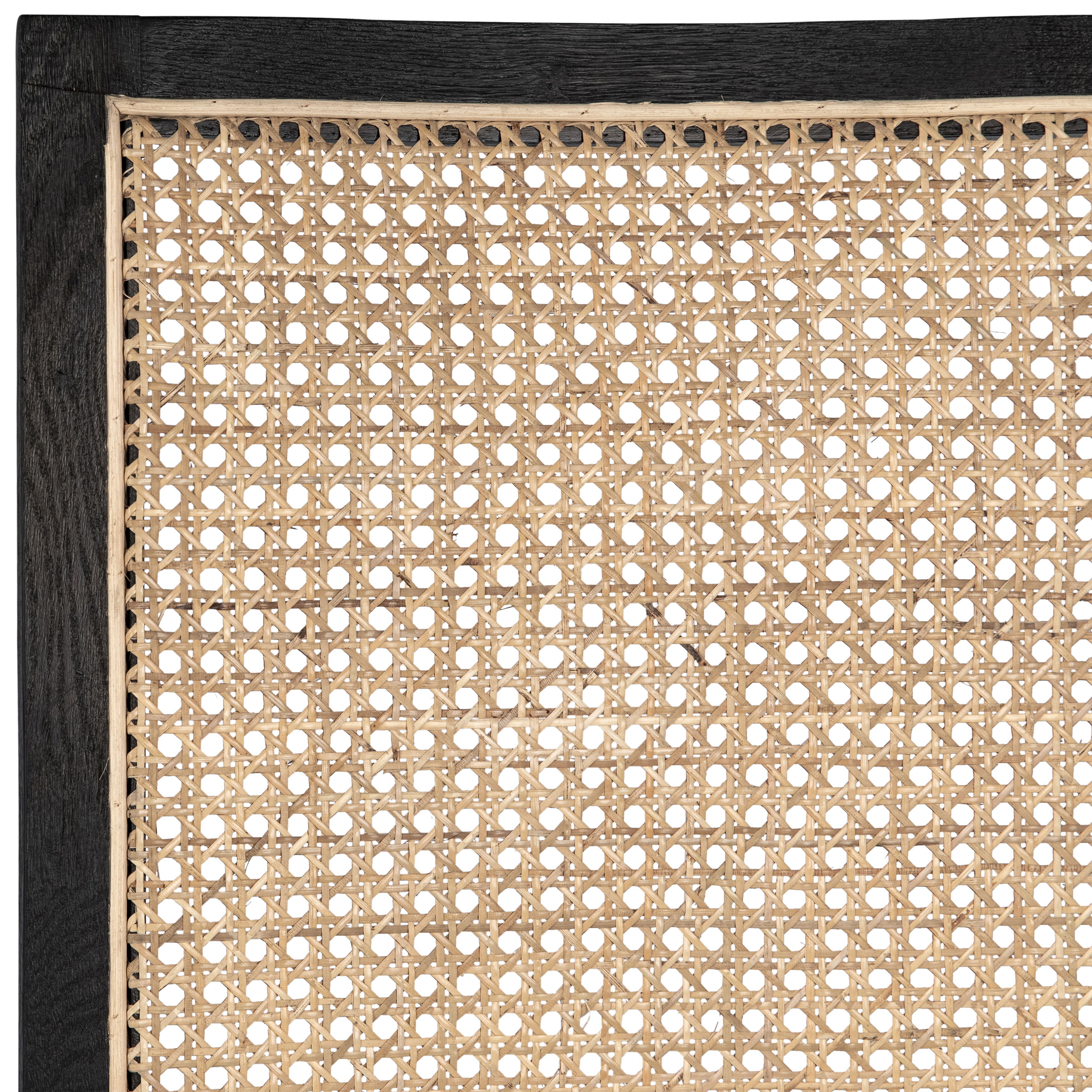 Norton Dining Chair Set of 2 Black, by Dovetail, 20" width x 39" height x 25.5" depth View 5