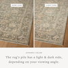 Loloi Briar Rug, 6'7" length x 9'2" width thumbnail 3