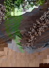 Roma Accent Table thumbnail 6