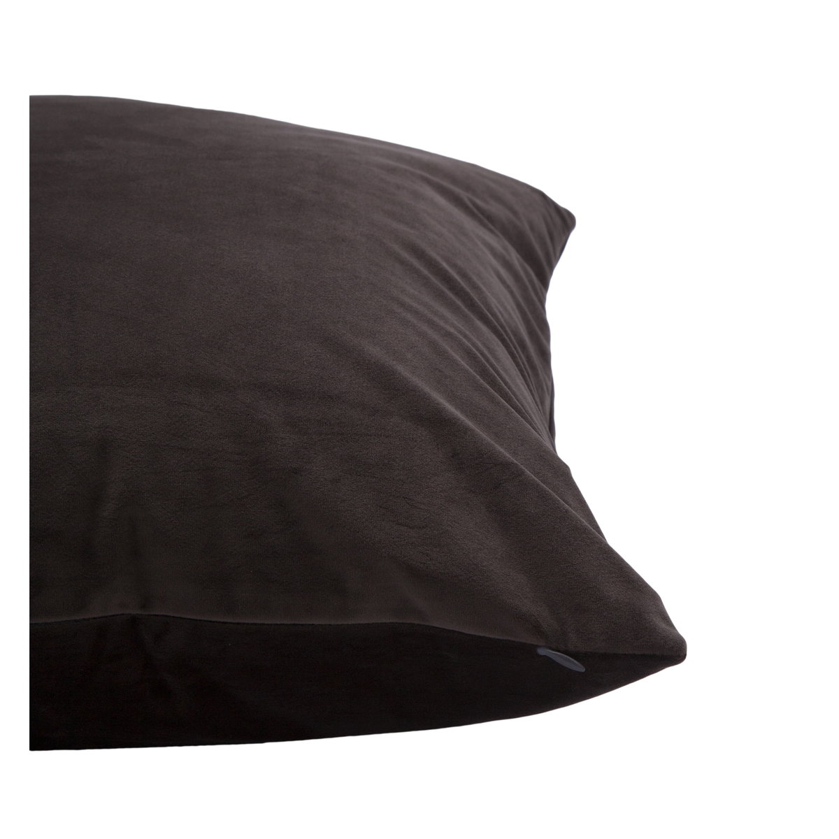 Chestnut Indoor Pillow, Decorative Pillow by Renwil, 20" height x 3" depth View 2