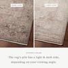 Loloi Lyra Rug, 2'7" length x 8' width thumbnail 2