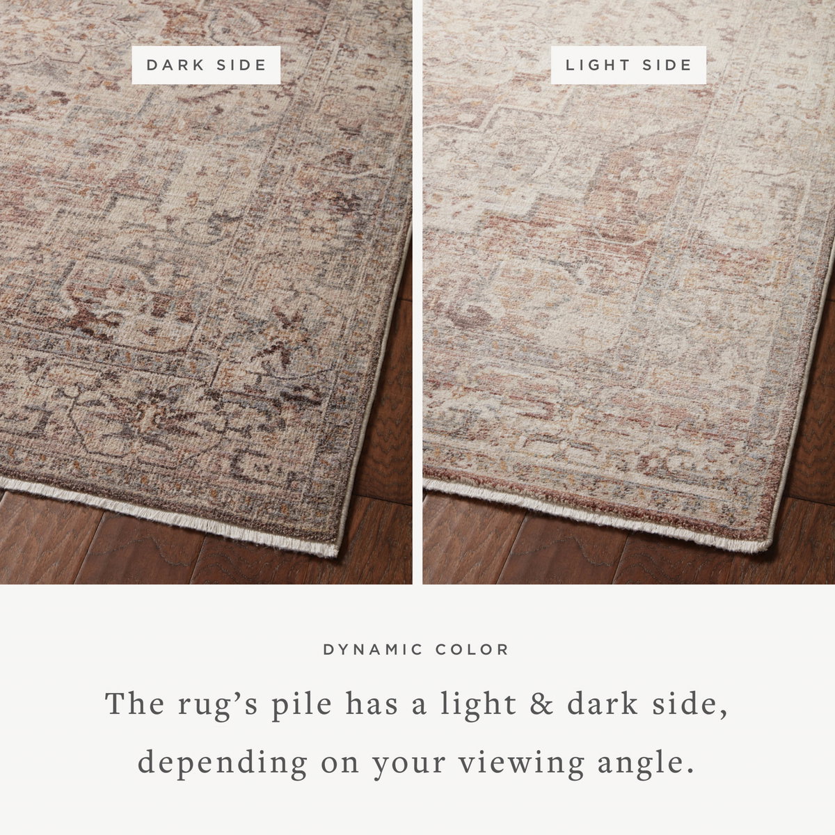 Loloi Lyra Rug, 4' length x 5'7" width View 2