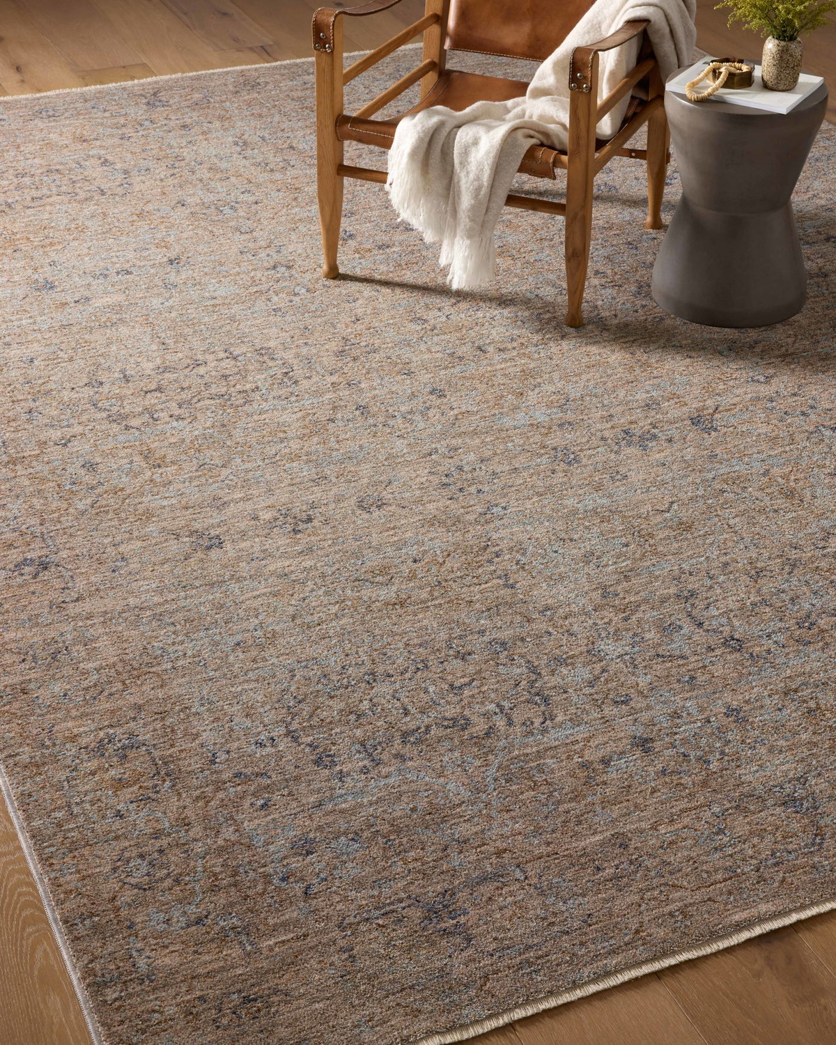 Angela Rose x Loloi Blake Rug, 5'3" length x 5'3" width View 3