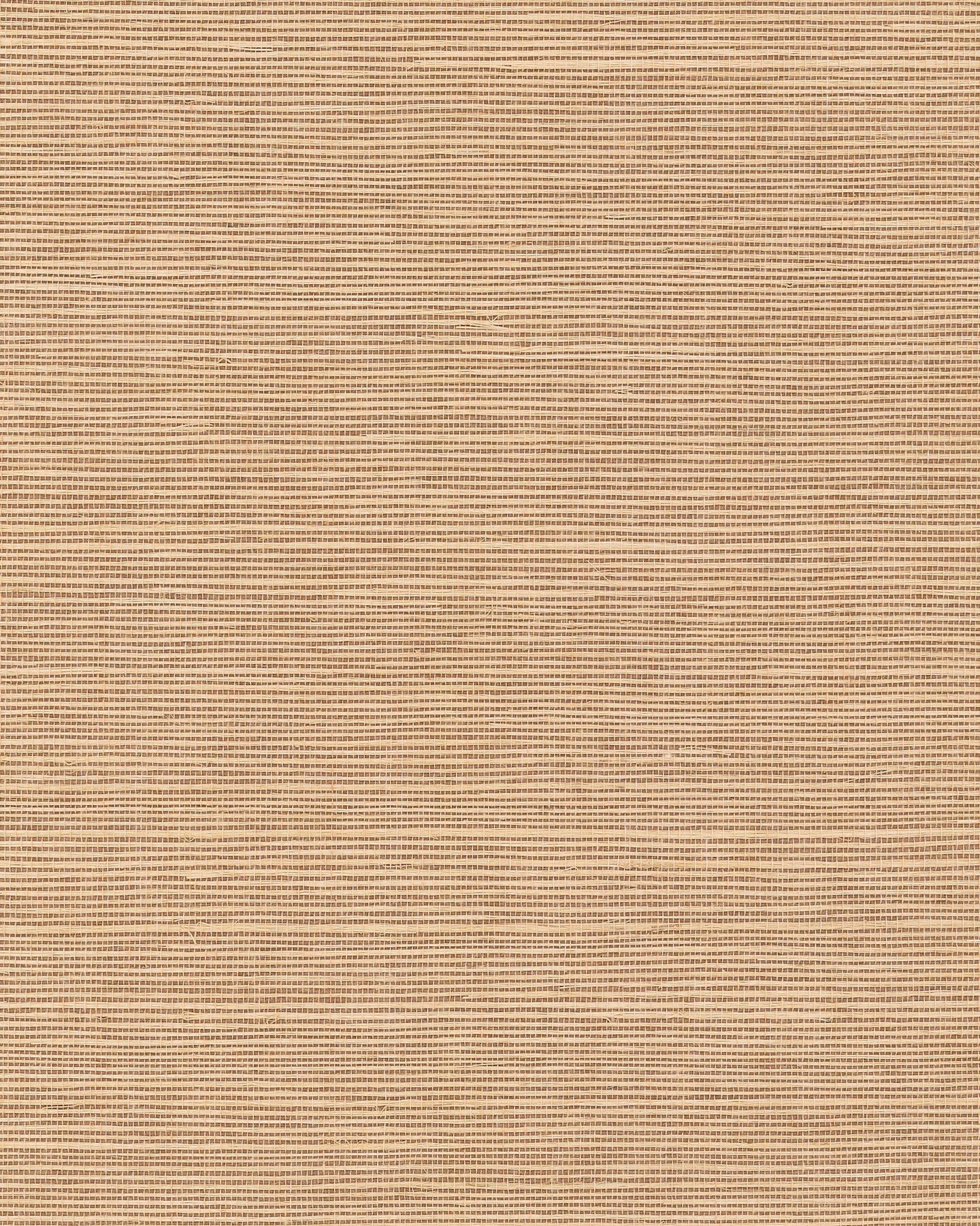 Maguey Sisal Fawn Wallpaper large image 