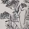 Basset thumbnail 11