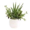 Sundown Succulent Accent Planter, by Uttermost, 14" width x 16.5" height x 13" depth thumbnail 3