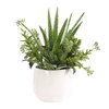 Sundown Succulent Accent Planter, by Uttermost, 14" width x 16.5" height x 13" depth thumbnail 3