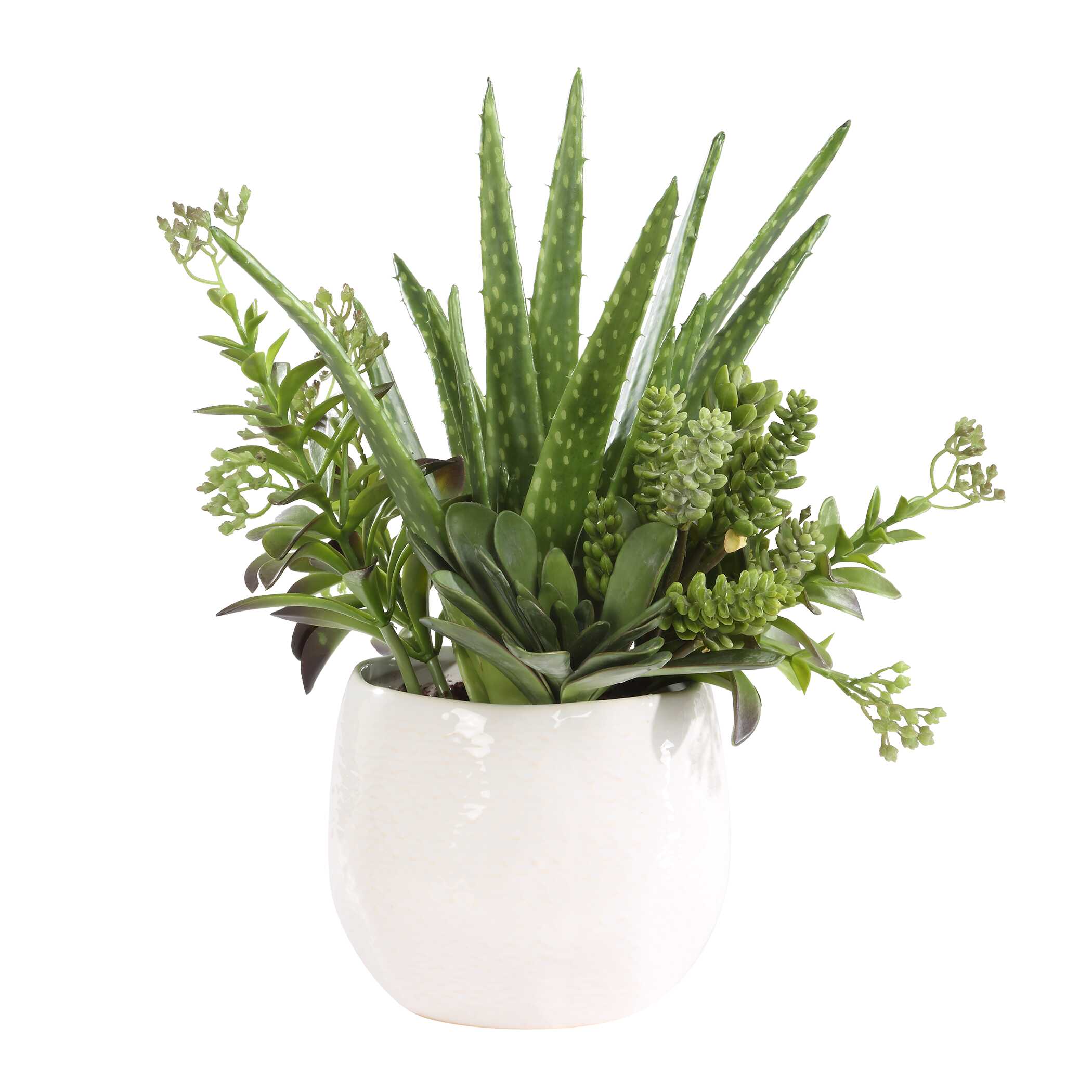 Sundown Succulent Accent Planter large image 