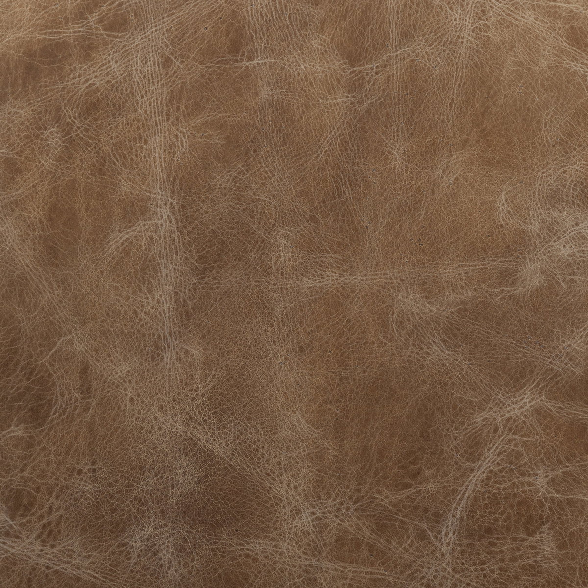 Cobain I 84' Brown Leather Two Seater Sofa, Sofas & Sectional by Mercana, 83.5" length x 34.5" width x 33.5" height View 3