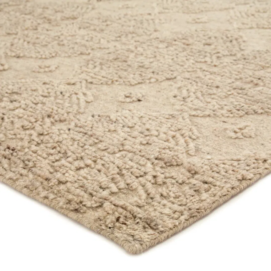 Jaipur Living Dentelle Handknotted Geometric Beige Area Rug large image 
