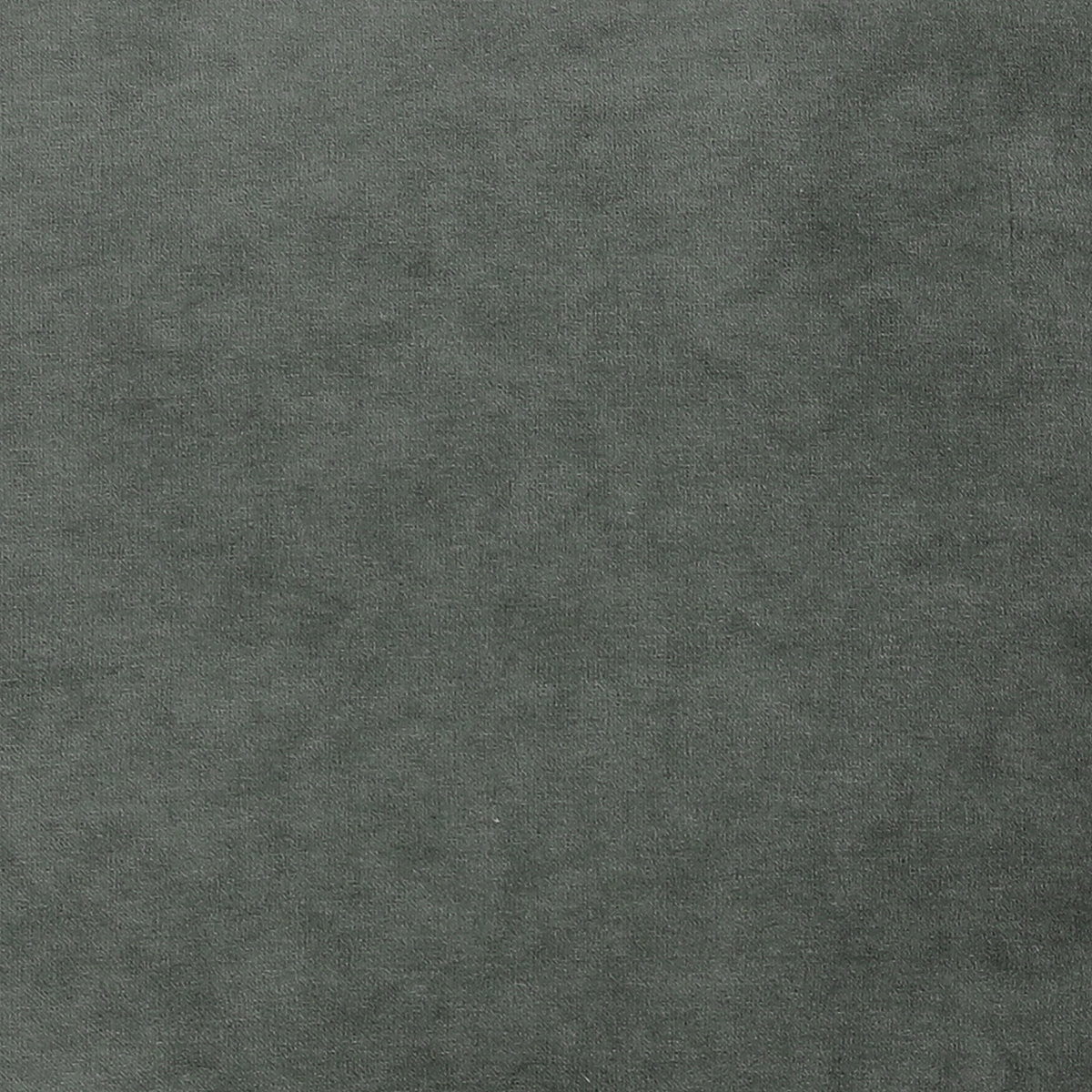 Griswald Pillow Green, Decorative Pillow by Dovetail, 20" width x 20" height x 4" depth View 3