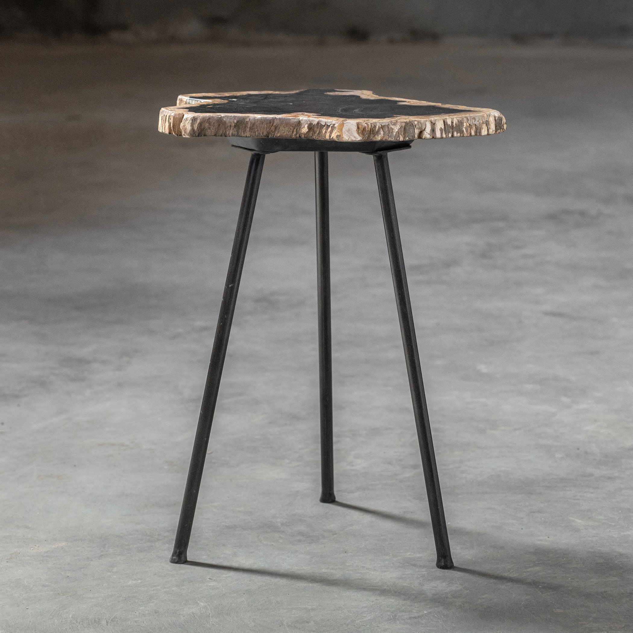 Mircea Petrified Wood Accent Table large image 