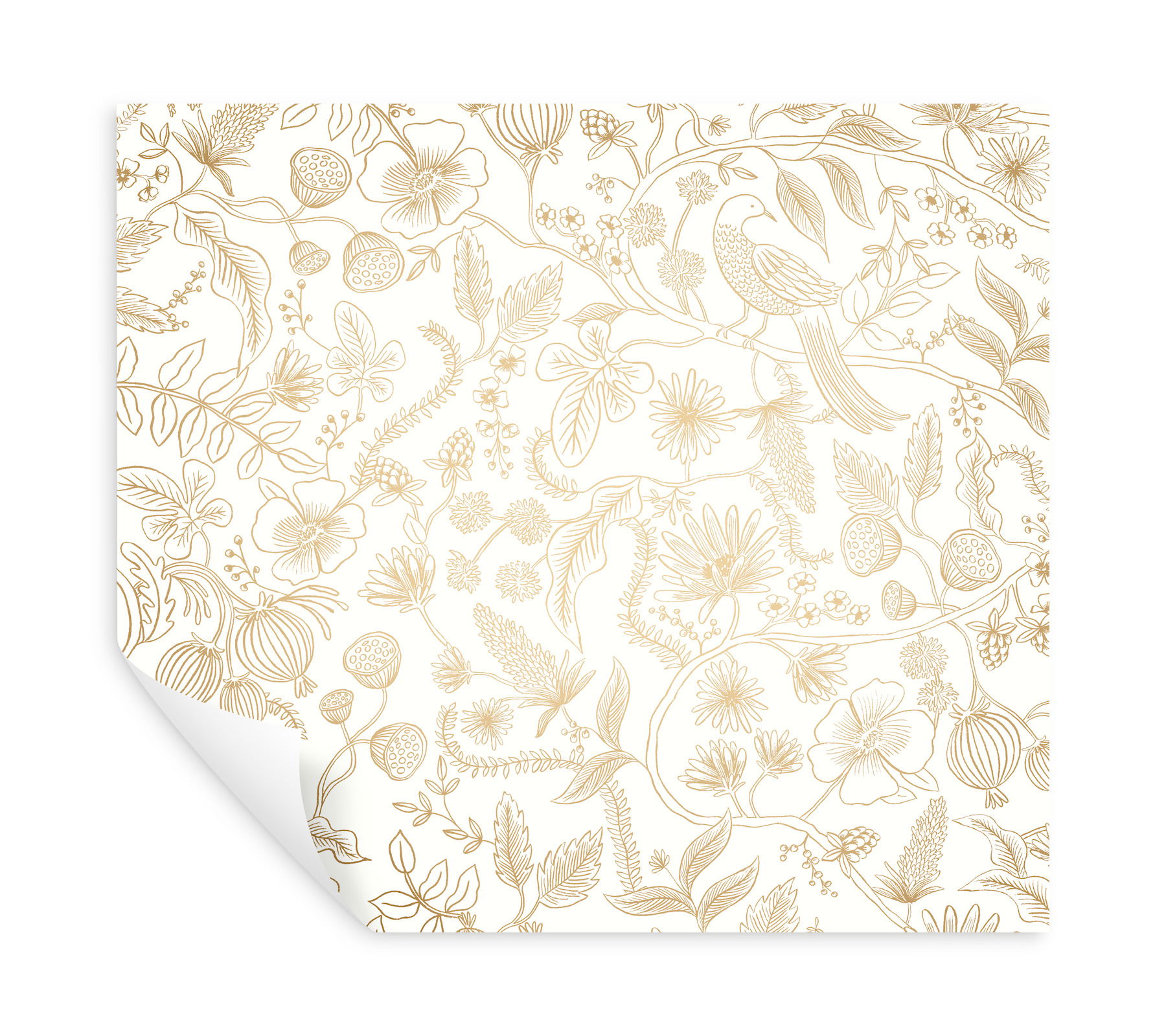Aviary Off White & Gold Peel & Stick Wallpaper Aviary Off White & Gold Peel & Stick Wallpaper large image