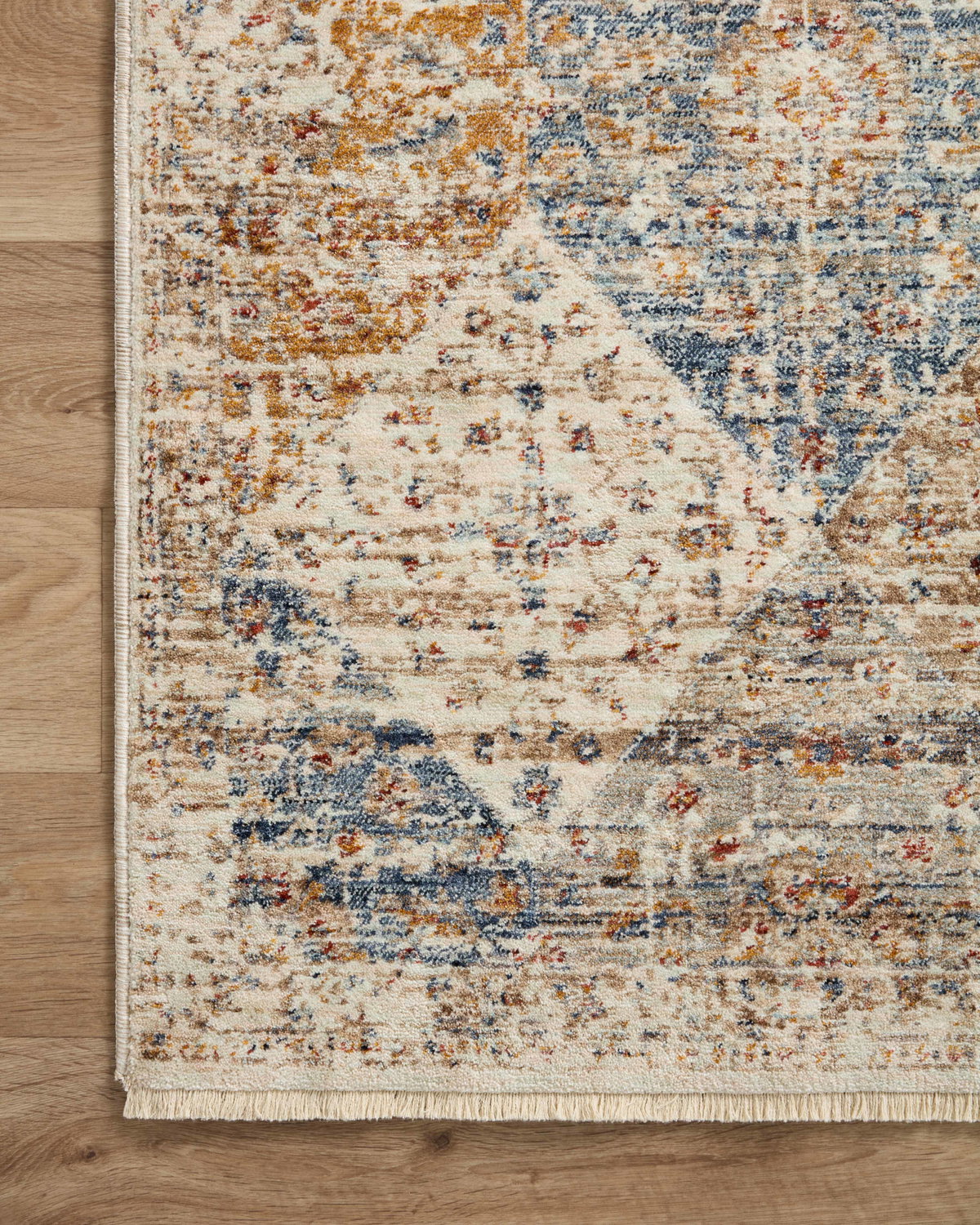 Loloi Sorrento Rug, 1'6" length x 1'6" width View 5