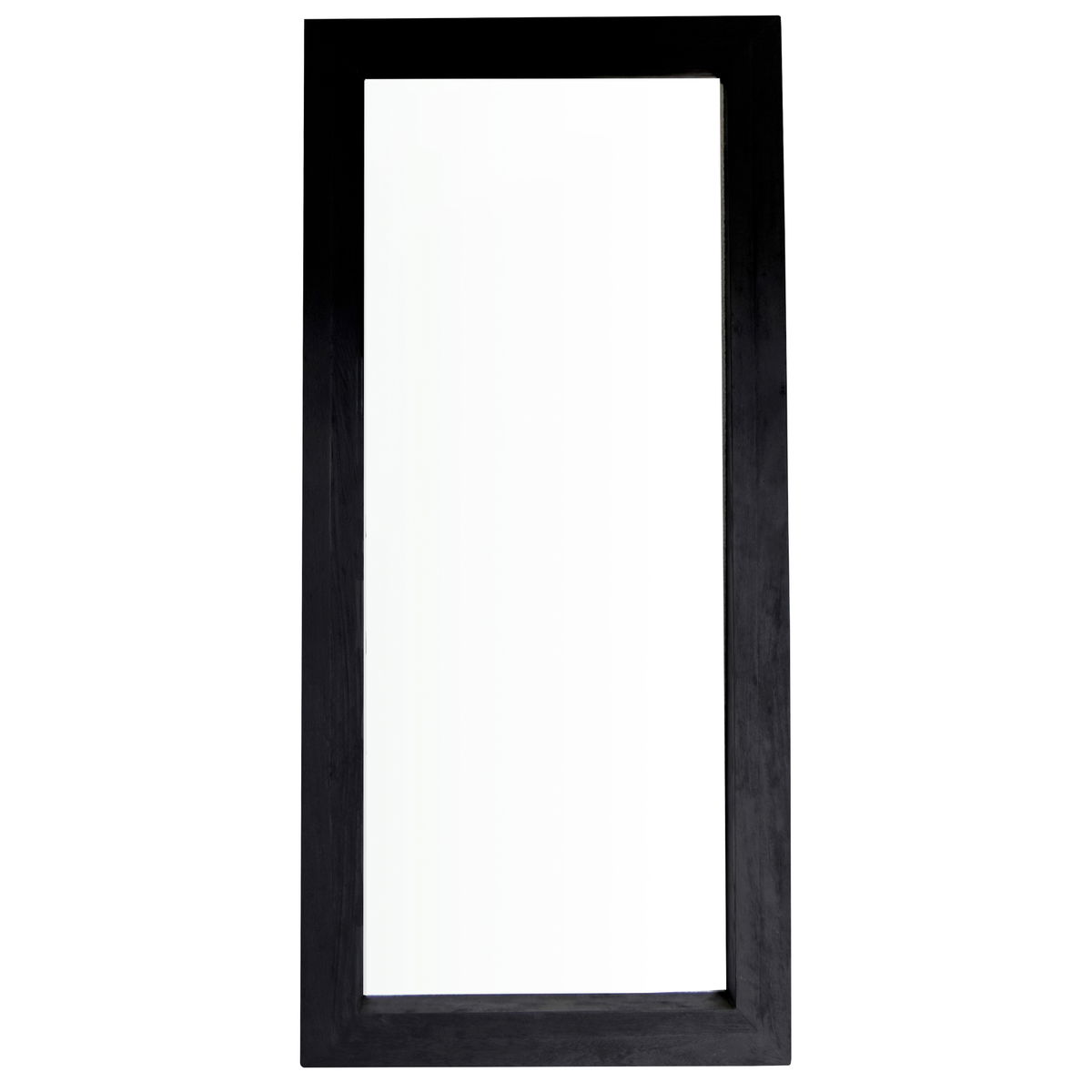 Lian Floor Mirror, by Dovetail, 41" width x 88" height x 6" depth View 2
