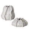 Urchin Textured Ivory Vases Set/2, Decorative by Uttermost, 7.5" width x 8.75" height x 7.5" depth thumbnail 1