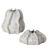 Urchin Textured Ivory Vases Set/2, by Uttermost, 7.5" width x 8.75" height x 7.5" depth thumbnail 1