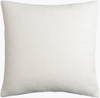 Sajani Accent Pillow Down, Decorative Pillow by Surya, 22" length x 22" width thumbnail