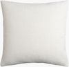 Sajani Accent Pillow Down, Decorative Pillow by Surya, 22" length x 22" width thumbnail