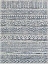Delphi Machine Woven Rug, by Surya, 6'11.86" length x 5'2.99" width thumbnail