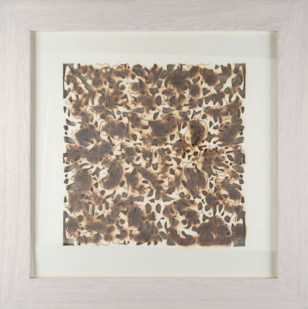 Daintree Framed Art large image 