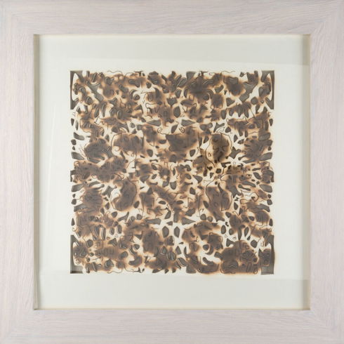 Daintree Framed Art