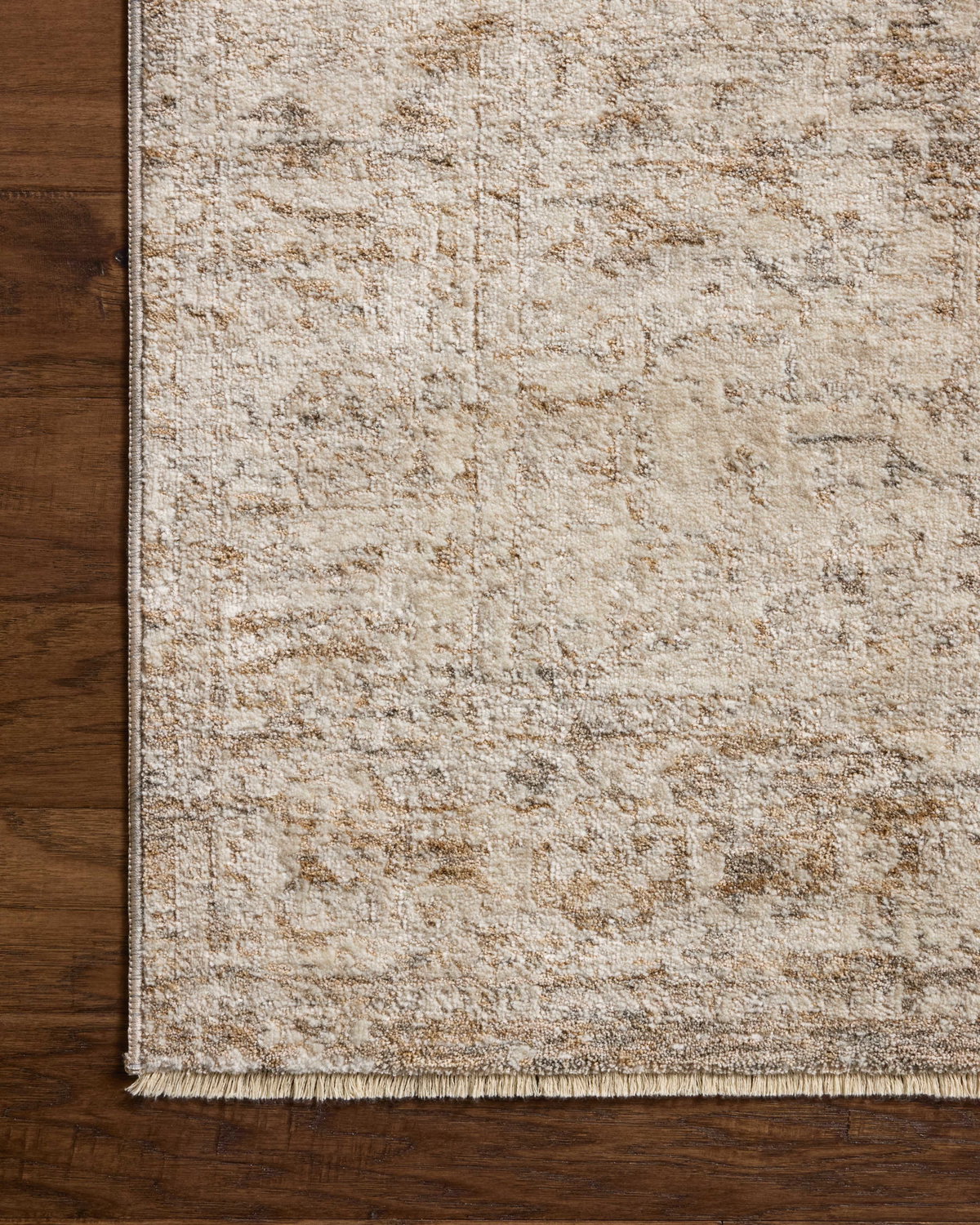 Loloi Clarisse Rug, 2' length x 3' width View 4