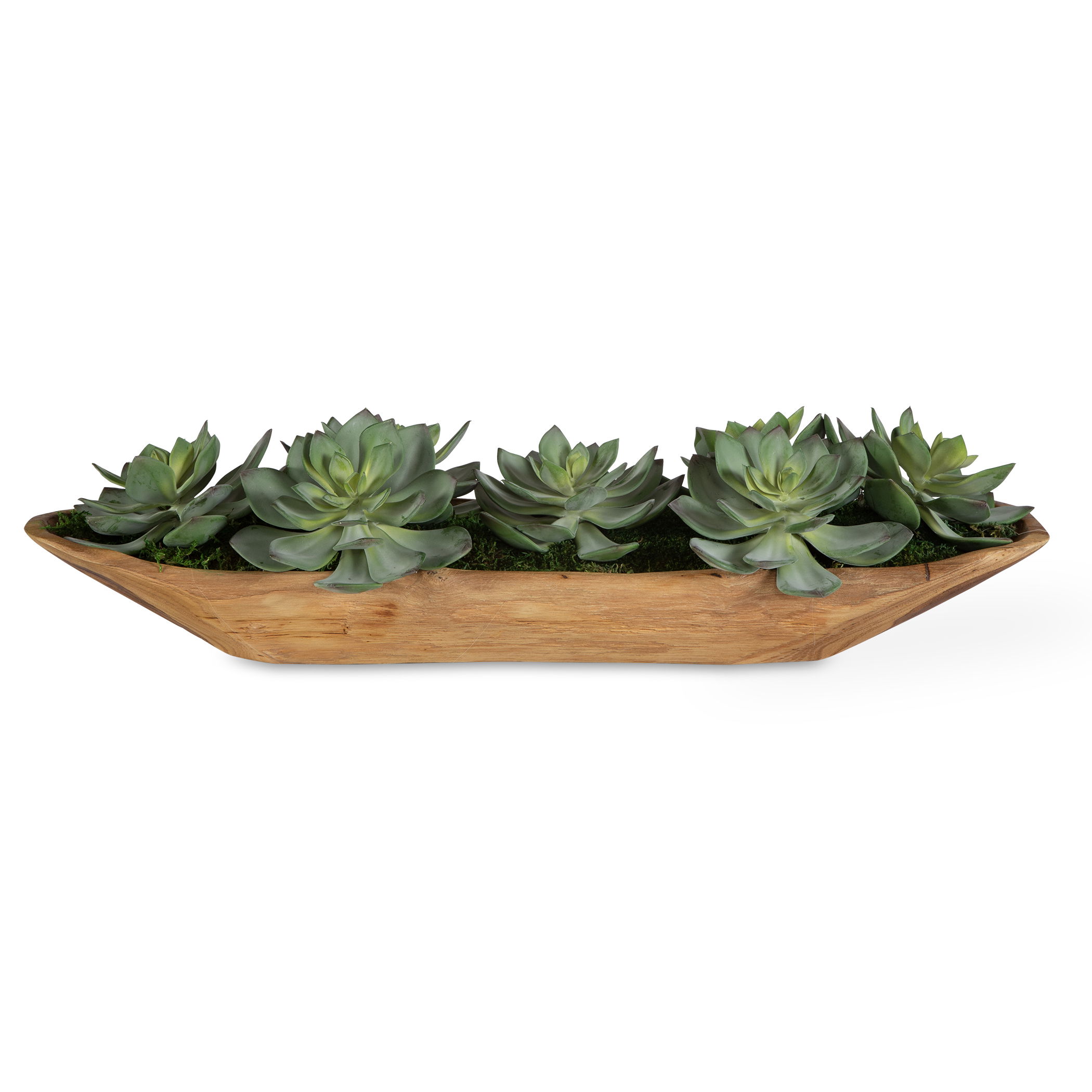 Yuma Succulent Centerpiece large image 