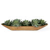 Yuma Succulent Centerpiece thumbnail 0