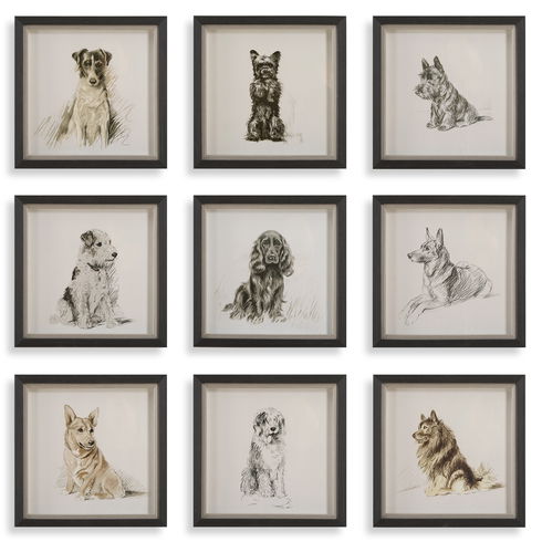 Loyal Companion Framed Dog Prints, S/9