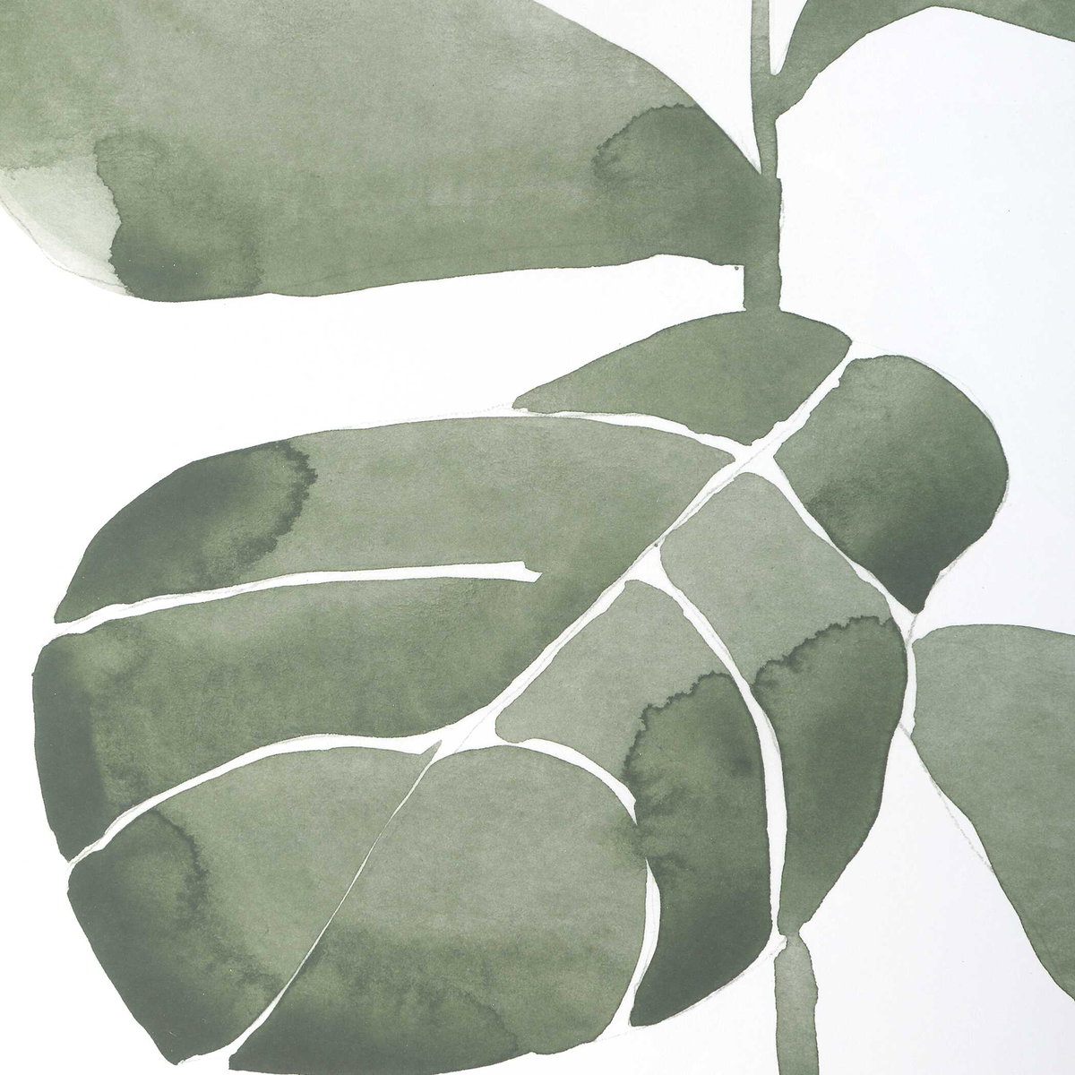 Fiddle Head Leaf Botanical Prints Set/4, Art by Uttermost, 28" width x 34" height x 2.12" depth View 6
