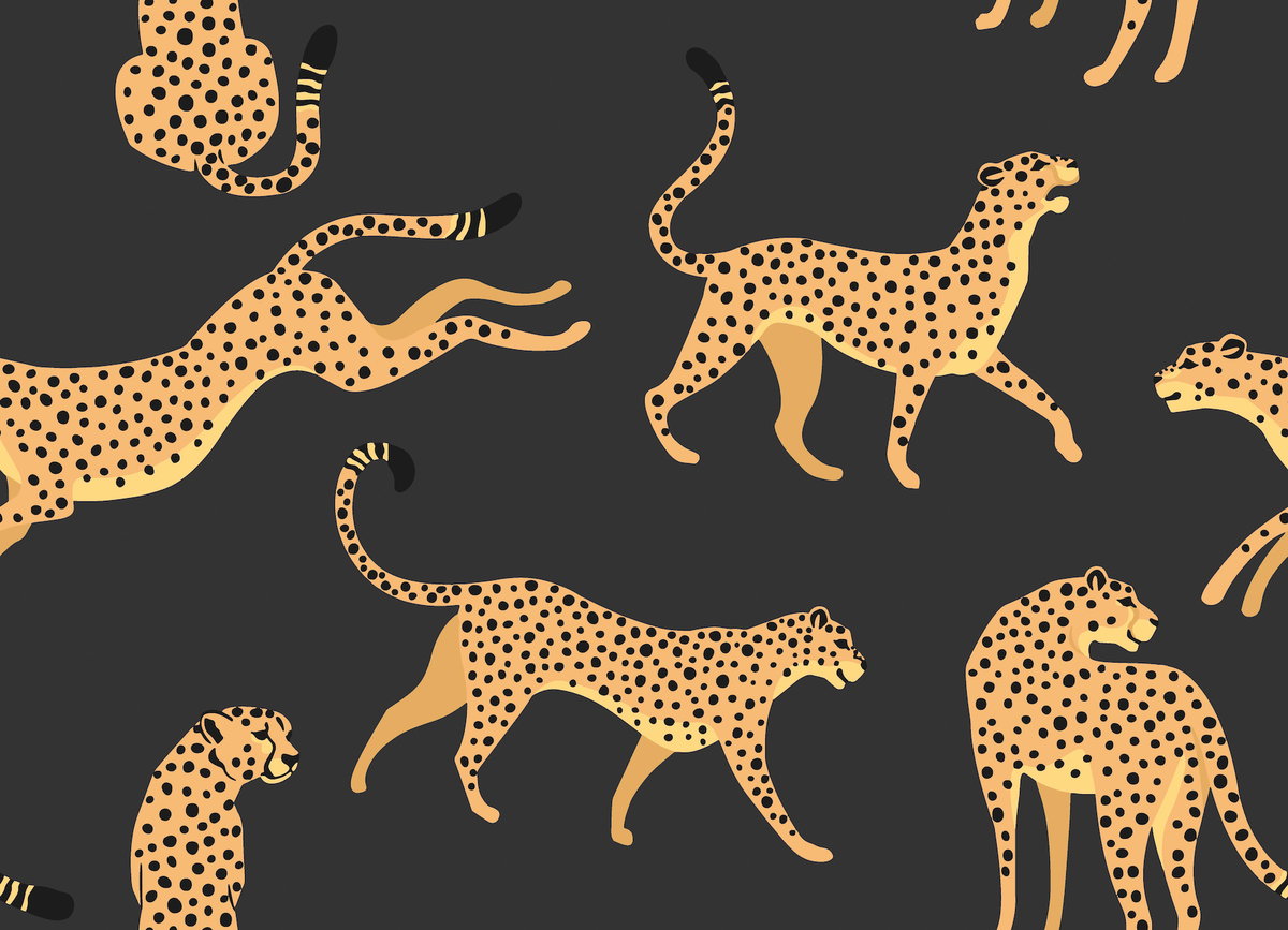 Cheetah Cheetah Orange Peel & Stick Wallpaper, by York Wall, 18'10.8" length x 1'6" width x 0.02" depth